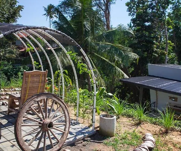 Mana Sari *
